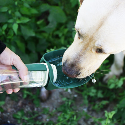 2 in 1 Trinkflasche für Hunde - Leaflap